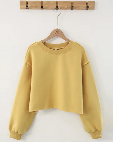 Vintage High Quality Oversized Women Sweatshirt Hoodies Casual Loose Vintage Long Sleeve Harajuku Streetwear Crop Pullover