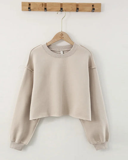 Vintage High Quality Oversized Women Sweatshirt Hoodies Casual Loose Vintage Long Sleeve Harajuku Streetwear Crop Pullover